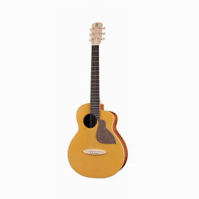 aNueNue Solid Top Bird MC10 GG Golden Glow Acoustic Guitar Yellow for sale