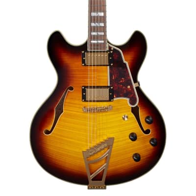D'Angelico Guitars Excel DC 2018 16  Semi Hollow Electric Guitar with Stairstep Tailpiece, Pau Ferro Fingerboard, Vintage Sunburst image 14