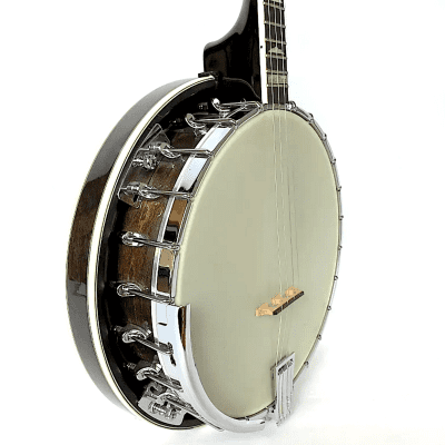 Gold Tone IT-250R 4-String  Irish Tenor Banjo w/ Resonator image 3