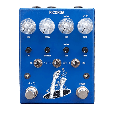 ギター AC Noises Ricorda AC Noises Ricorda | Reverb Canada
