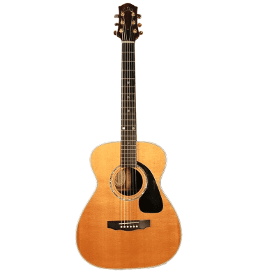 Guild Westerly Collection M-140 | Reverb España