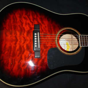 Washburn D10QSB Sunburst Quilt Top Dreadnought Reverb Canada