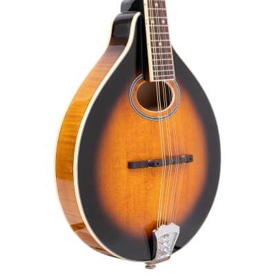 Gold Tone GM-50+ A-Style Solid Spruce Top Maple Neck 8-String Mandolin w/Gig Bag & Pickup image 4