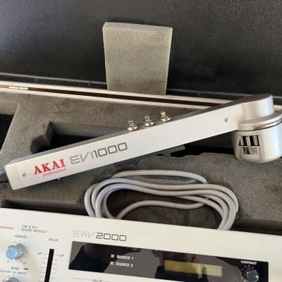 Akai Professional RARE EVI1000 Controller and EWV2000 Synth Module w/cable image 6