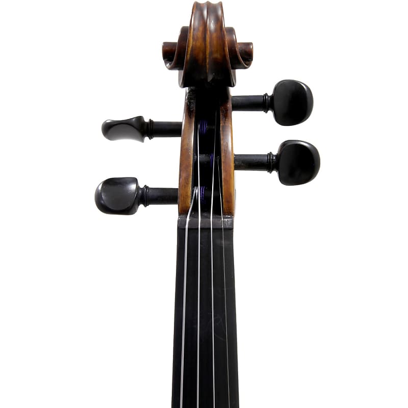 弦楽器 sky Amazon.com: SKY 4/4 SKYVNSK1001 Concerto Series Highly