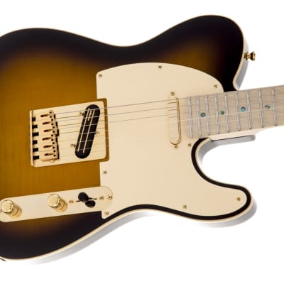 Fender Richie Kotzen Telecaster®, Maple Fingerboard, Brown Sunburst image 1