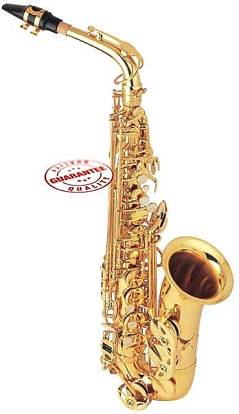 Fever Beginner Student Eb Alto Saxophone Gold with Case image 1