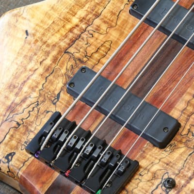 GW Custom DC-1 Neck-Thru 5-String Bass Natural Spalted Maple + OHSC image 6