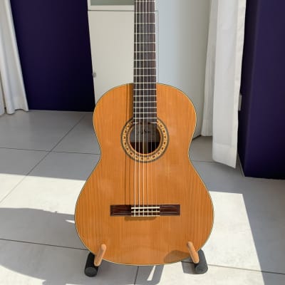 Aria&Coアコースティックギター 美品 JAPAN ヴィンテージ Vintage Aria Model A554 Classical Guitar With Case - Made In