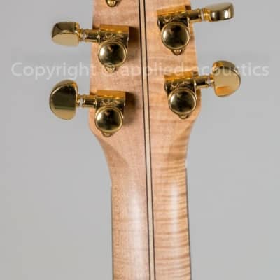 Rozawood Rhapsody custom DG (Drop-D guitar) image 4