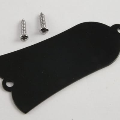 Truss Rod Cover Black Metal + 2 Nickel Screws 'Blank no text' for Gibson Guitars
