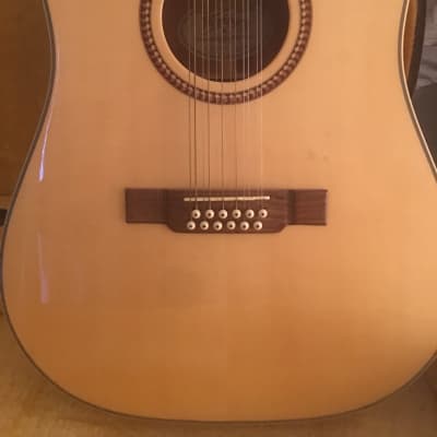 Washburn Heritage Seires D10S/ 12-String Acoustic/Dreadnought Guitar Natural for sale