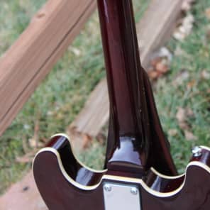 クリスマス特価！　シルバートーン SSLA-30/TR by SAMIC Silvertone By Samick SIGNED BY ERIC CLAPTON SSLA-30/TR Semi | Reverb