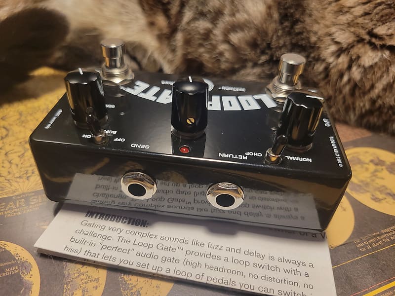 Zvex Loop Gate