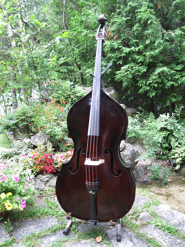 Kay M1 Double Bass 1964 Dark Brown Reverb