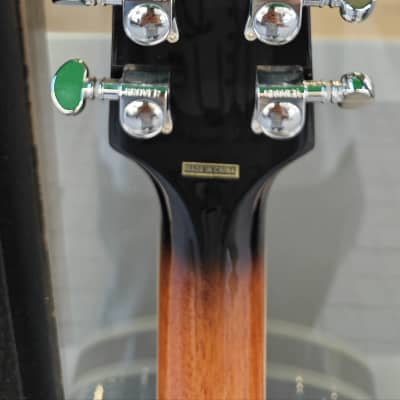 Epiphone Stagebird Banjo image 7