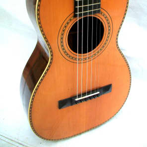 Vintage 1889 C. Bruno Parlor Guitar Reverb