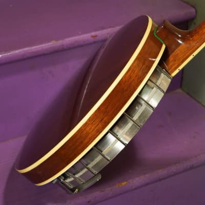 1970s Epiphone (Japan) Mastertone-Style Resonator 5-String Banjo (VIDEO! Lightweight, Fresh Repairs) image 16
