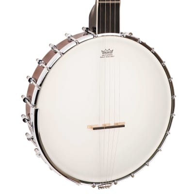 Gold Tone Mastertone™ WL-250: White Ladye Banjo with Case image 13