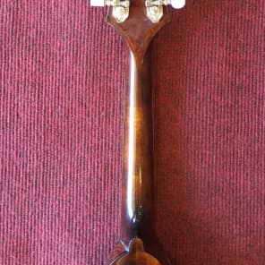 Eastman MD505 A Style Mandolin Classic image 5
