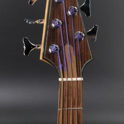 Rick Turner Renaissance RB5 5-String Bass Rare Indian Rosewood/Cedar image 6