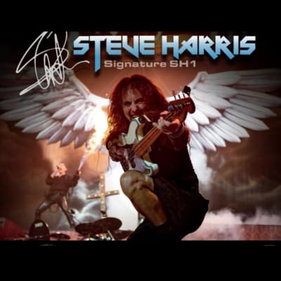 Tech 21 Steve Harris SH1 Signature SansAmp image 3
