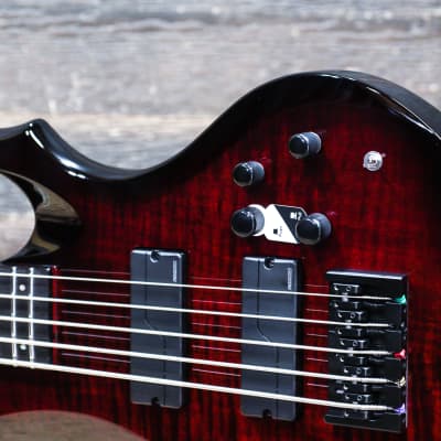 ESP LTD F-1005 See-Thru Black Cherry Sunburst 5-String Electric Bass #W23060302 image 7