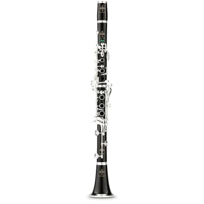 Buffet Crampon R13 Greenline Professional Bb Clarinet With Silver