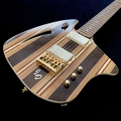 JD Guitars 2023 Neptune-6 image 23