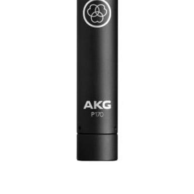AKG P170 Small-Diaphragm Condenser Microphone(New) image 1