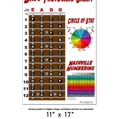 4 String Bass Fretboard Instructional Chart Poster Nashville Numbering Theory 11x17 Beginner Easy image 3