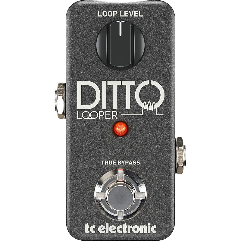 TC Electronic Ditto Looper Guitar Effects Pedal image 1