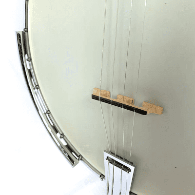 Gold Tone IT-250R 4-String  Irish Tenor Banjo w/ Resonator image 7