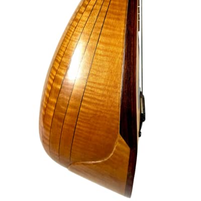 Stridente Student Mandolin 1900's image 7