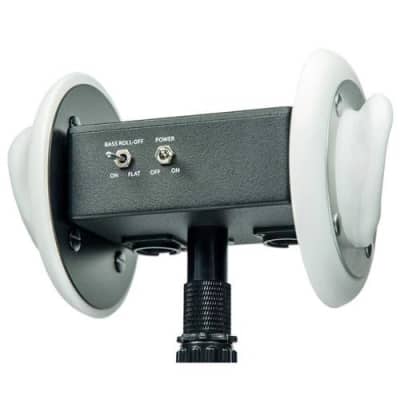 3Dio Free Space XLR Binaural Microphone | Reverb