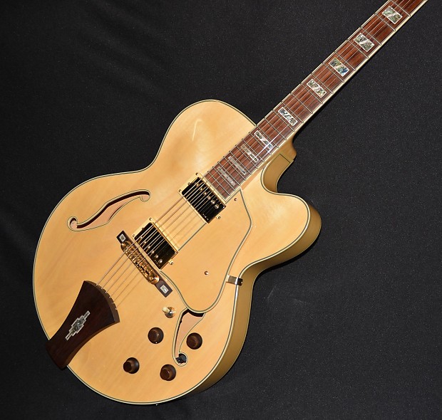 Ibanez af100c store