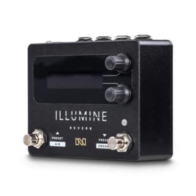 Neunaber Illumine Reverb image 6