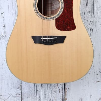 Washburn D100SWCE Dreadnought Acoustic Electric Guitar with Hardshell Case for sale