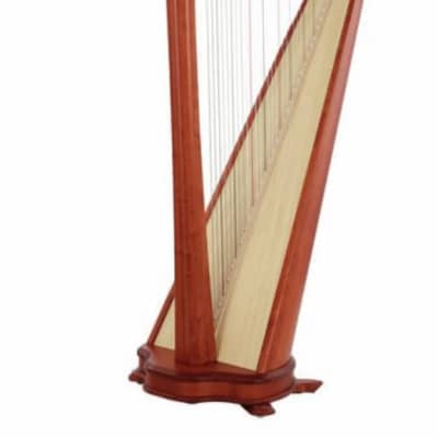 Salvi Hermes Lever Harp Cherry for sale