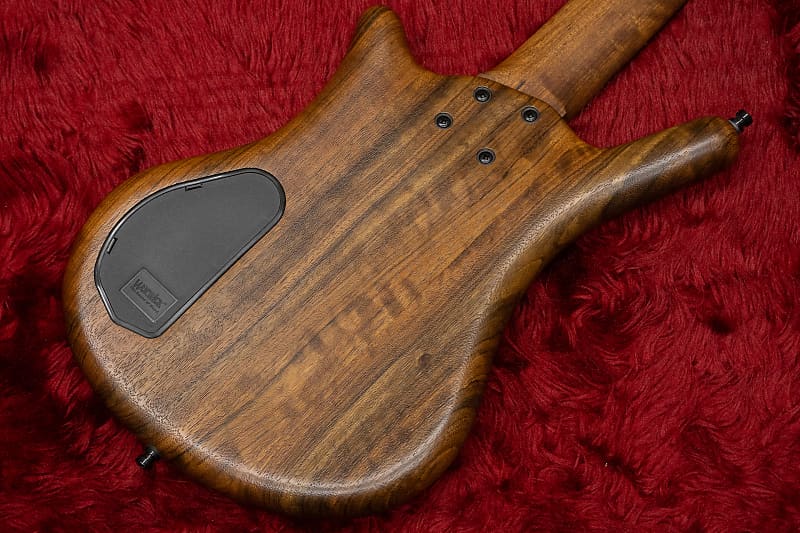 outlet】Warwick / Team Build PS Thumb Bass BO 5 TS NAT B