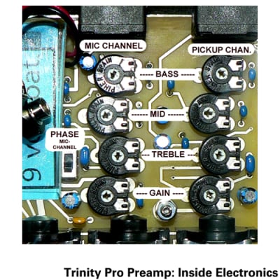 K&K Trinity Pro Preamp image 2