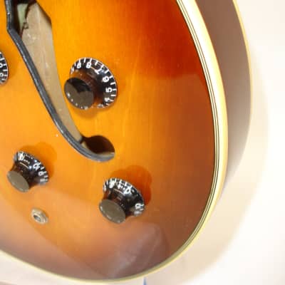 Jay Turser 335-Style Semi-Hollow Electric Guitar, Sunburst image 5