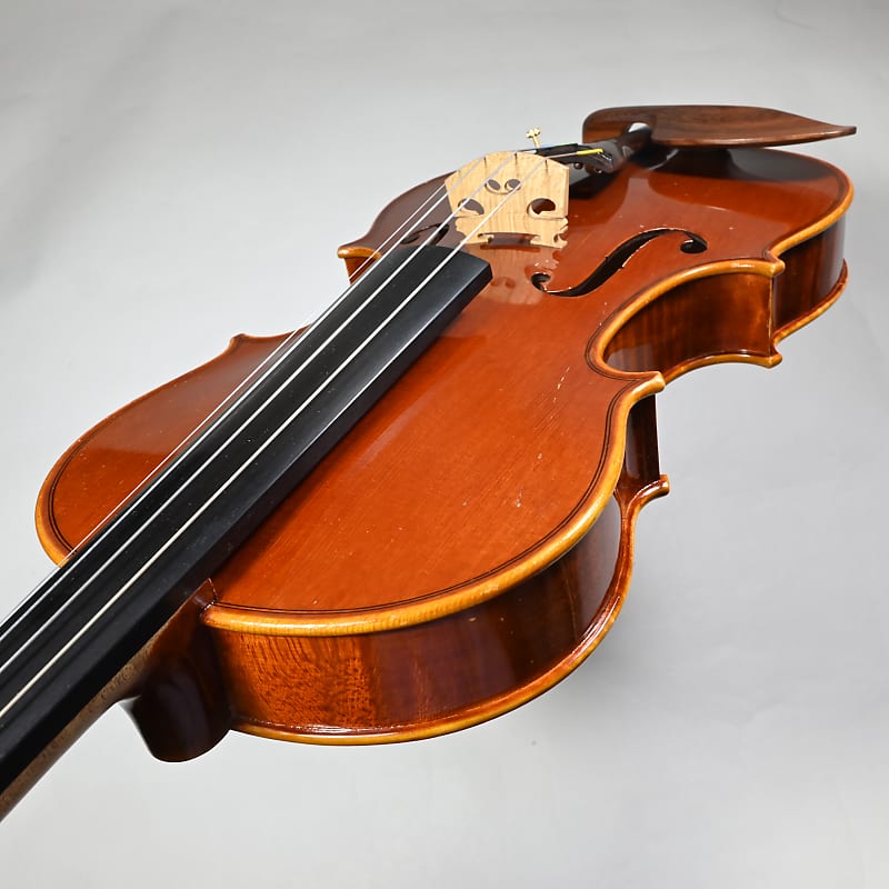 Pygmalius Derius Giapponese 