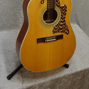 Kingston V2 acoustic guitar with chipboard case image 2