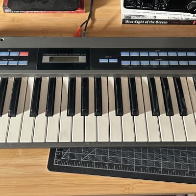 Roland HS 10 (Identical to Alpha Juno)