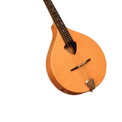 Gold Tone Mandola  w/ Bag image 2