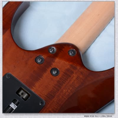 IBANEZ  RG460 VFM-BBT Electric Guitars image 4