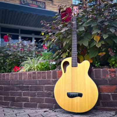 2005 Olympia Tacoma OB-3CE Acoustic-Electric Bass for sale