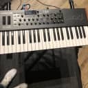 Dave Smith Instruments Mopho x4 Polyphonic Synthesizer