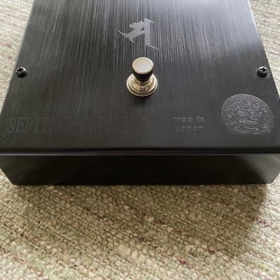 September Sound Violetta 'Dark Side' | Reverb Canada